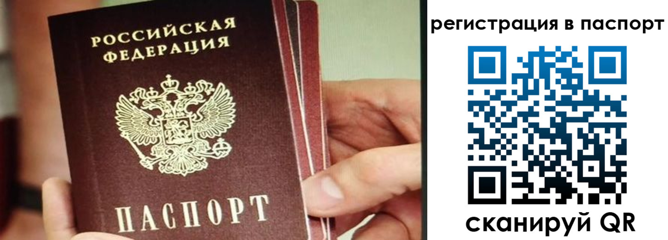 временная регистрация надежно в Московской области